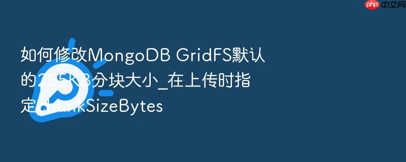 如何修改mongodb gridfs默认的255kb分块大小_在上传时指定chunksizebytes