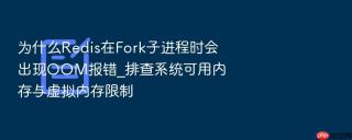 为什么redis在fork子进程时会出现oom报错_排查系统可用内存与虚拟内存限制
