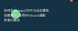 如何在mongodb中为动态属性创建索引_使用wildcard通配符索引解决