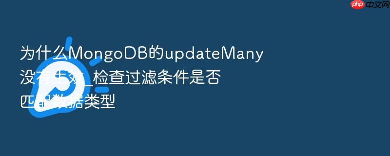 为什么mongodb的updatemany没有生效_检查过滤条件是否匹配数据类型