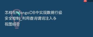 怎样在mongodb中实现数据行级安全控制_利用查询谓词注入与视图结合