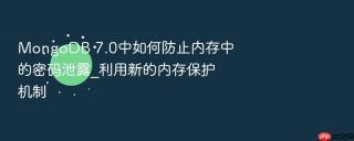 mongodb 7.0中如何防止内存中的密码泄露_利用新的内存保护机制