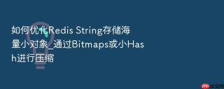 如何优化redis string存储海量小对象_通过bitmaps或小hash进行压缩