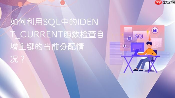 如何利用sql中的ident_current函数检查自增主键的当前分配情况?