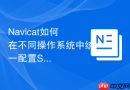 Navicat如何在不同操作系统中统一配置SQL格式化规则？