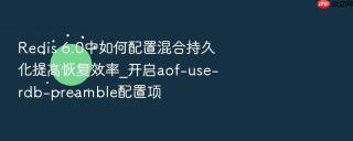 redis 6.0中如何配置混合持久化提高恢复效率_开启aof-use-rdb-preamble配置项