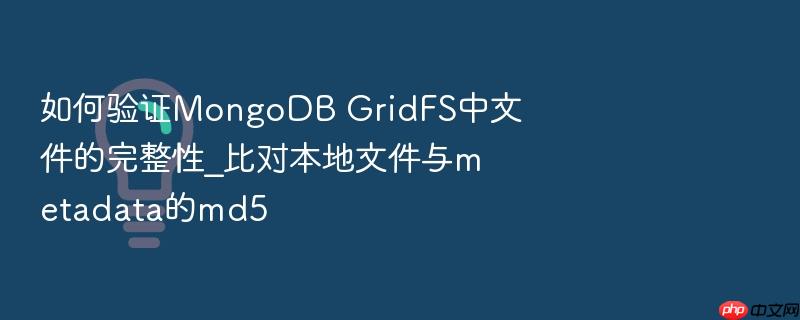 如何验证mongodb gridfs中文件的完整性_比对本地文件与metadata的md5