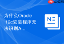 为什么Oracle 12c安装程序无法识别ASM磁盘_通过配置ASMLib或环境变量