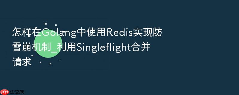 怎样在golang中使用redis实现防雪崩机制_利用singleflight合并请求