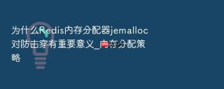 为什么redis内存分配器jemalloc对防击穿有重要意义_内存分配策略