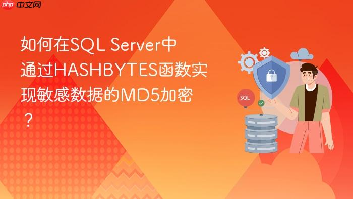 如何在sql server中通过hashbytes函数实现敏感数据的md5加密?