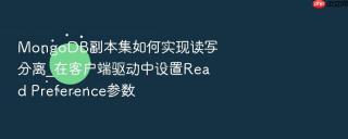 MongoDB副本集如何实现读写分离_在客户端驱动中设置Read Preference参数
