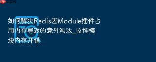 如何解决redis因module插件占用内存导致的意外淘汰_监控模块内存开销