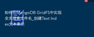 如何在mongodb gridfs中实现全文搜索文件名_创建text index文本索引