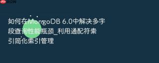 如何在mongodb 6.0中解决多字段查询性能瓶颈_利用通配符索引简化索引管理