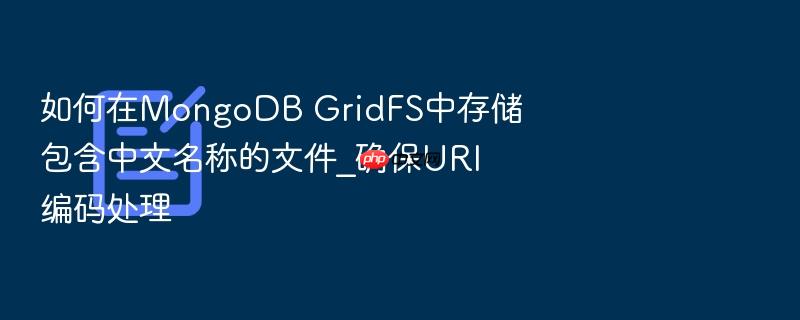 如何在mongodb gridfs中存储包含中文名称的文件_确保uri编码处理