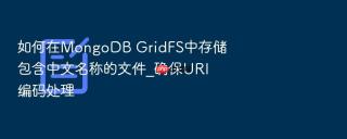 如何在mongodb gridfs中存储包含中文名称的文件_确保uri编码处理