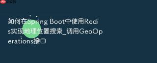 如何在Spring Boot中使用Redis实现地理位置搜索_调用GeoOperations接口