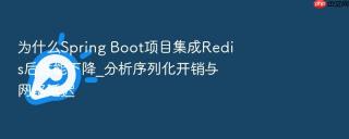 为什么Spring Boot项目集成Redis后性能下降_分析序列化开销与网络延迟