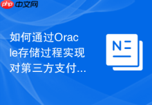 如何通过Oracle存储过程实现对第三方支付接口的集成？