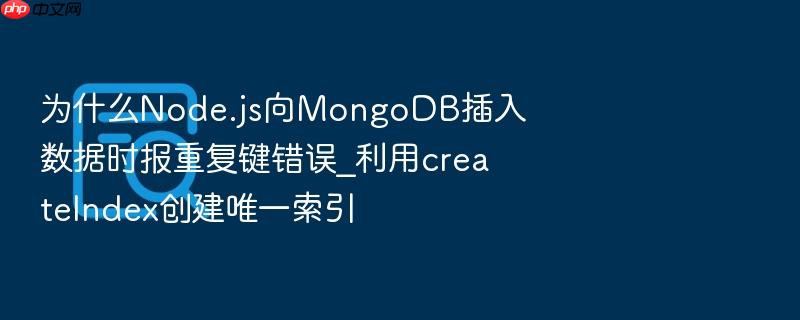 为什么node.js向mongodb插入数据时报重复键错误_利用createindex创建唯一索引