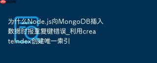 为什么node.js向mongodb插入数据时报重复键错误_利用createindex创建唯一索引