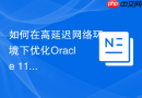 如何在高延迟网络环境下优化Oracle 11g DG的传输性能