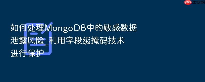 如何处理mongodb中的敏感数据泄露风险_利用字段级掩码技术进行保护