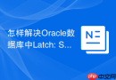 怎样解决Oracle数据库中Latch: Shared Pool导致的性能瓶颈