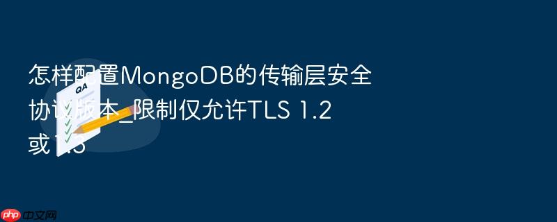 怎样配置mongodb的传输层安全协议版本_限制仅允许tls 1.2或1.3