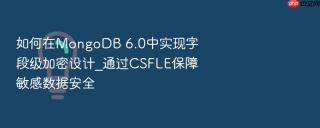 如何在mongodb 6.0中实现字段级加密设计_通过csfle保障敏感数据安全
