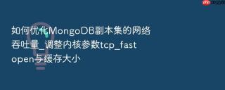 如何优化mongodb副本集的网络吞吐量_调整内核参数tcp_fastopen与缓存大小