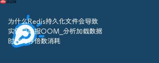 为什么Redis持久化文件会导致实例启动报OOM_分析加载数据时的内存倍数消耗