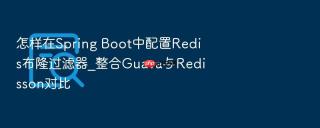 怎样在spring boot中配置redis布隆过滤器_整合guava与redisson对比