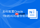 如何配置Oracle 19c的ADG备份机环境_通过rman duplicate命令同步