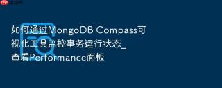 如何通过mongodb compass可视化工具监控事务运行状态_查看performance面板