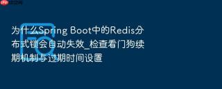 为什么Spring Boot中的Redis分布式锁会自动失效_检查看门狗续期机制与过期时间设置