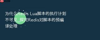 为什么Redis Lua脚本的执行计划不可见_探究Redis对脚本的预编译处理