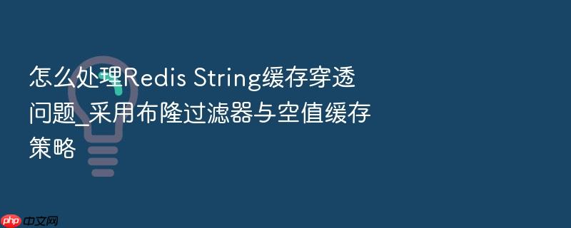 怎么处理redis string缓存穿透问题_采用布隆过滤器与空值缓存策略