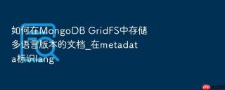 如何在mongodb gridfs中存储多语言版本的文档_在metadata标识lang
