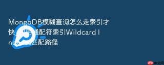 mongodb模糊查询怎么走索引才快_利用通配符索引wildcard indexes匹配路径
