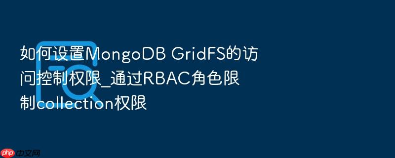 如何设置mongodb gridfs的访问控制权限_通过rbac角色限制collection权限