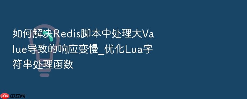 如何解决redis脚本中处理大value导致的响应变慢_优化lua字符串处理函数