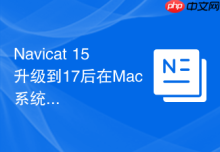 Navicat 15升级到17后在Mac系统上的兼容性有哪些提升？