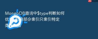 mongodb查询中$type判断如何优化_利用部分索引只索引特定类型数据