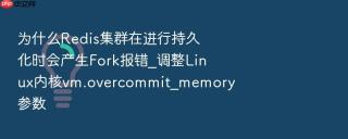 为什么redis集群在进行持久化时会产生fork报错_调整linux内核vm.overcommit_memory参数