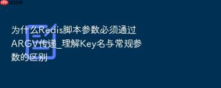 为什么redis脚本参数必须通过argv传递_理解key名与常规参数的区别