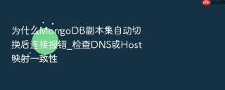为什么mongodb副本集自动切换后连接报错_检查dns或host映射一致性