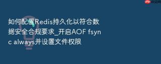 如何配置Redis持久化以符合数据安全合规要求_开启AOF fsync always并设置文件权限
