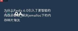 为什么redis 6.0引入了更智能的内存分配器_解决jemalloc下的内存碎片淘汰